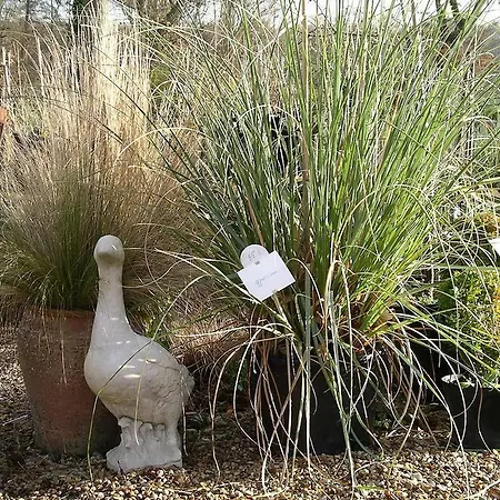 Du Jardin Francais إيرمينونفيل
