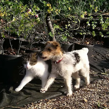 Feriehus Du Jardin Francais Ermenonville