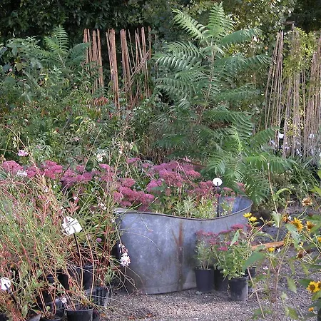 بيت للعطل Du Jardin Francais إيرمينونفيل