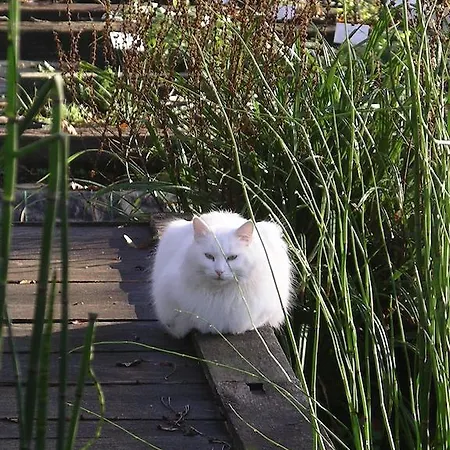 Feriehus Du Jardin Francais Ermenonville