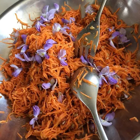 Feriehus Du Jardin Francais Ermenonville